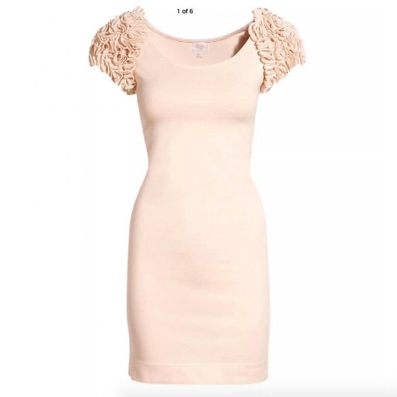 H&M Garden Collection | Pink Ruffle Sleeve Dress - Picture 1 of 5